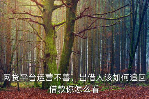 網(wǎng)貸平臺(tái)運(yùn)營不善，出借人該如何追回借款你怎么看