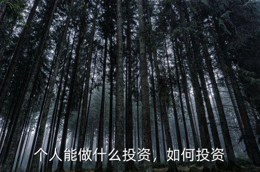 個人能做什么投資，如何投資