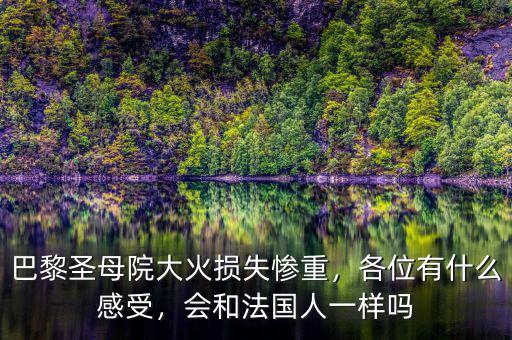 巴黎圣母院大火損失慘重，各位有什么感受，會和法國人一樣嗎
