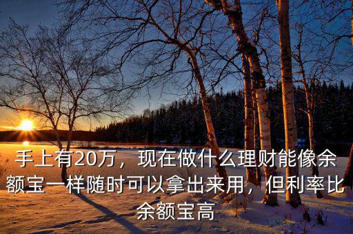 手上有20萬，現(xiàn)在做什么理財能像余額寶一樣隨時可以拿出來用，但利率比余額寶高