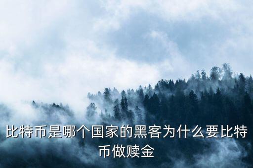 比特幣是哪個(gè)國家的黑客為什么要比特幣做贖金