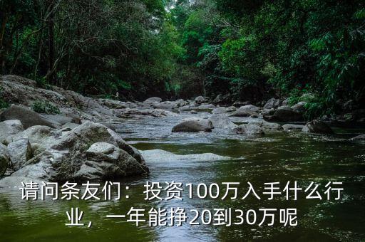 請(qǐng)問(wèn)條友們：投資100萬(wàn)入手什么行業(yè)，一年能掙20到30萬(wàn)呢