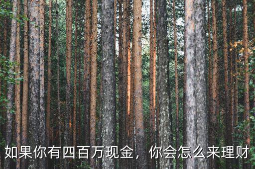如果你有四百萬現(xiàn)金，你會怎么來理財