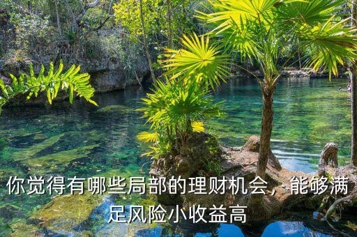 你覺得有哪些局部的理財(cái)機(jī)會(huì)，能夠滿足風(fēng)險(xiǎn)小收益高