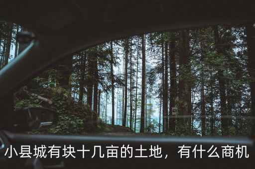 小縣城有塊十幾畝的土地，有什么商機(jī)