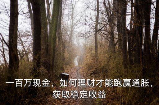 一百萬現(xiàn)金，如何理財才能跑贏通脹，獲取穩(wěn)定收益