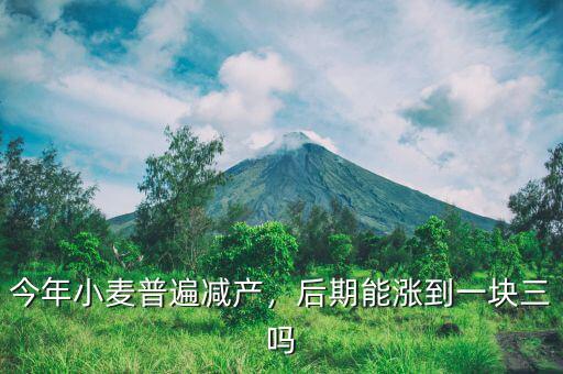 今年小麥普遍減產(chǎn)，后期能漲到一塊三嗎