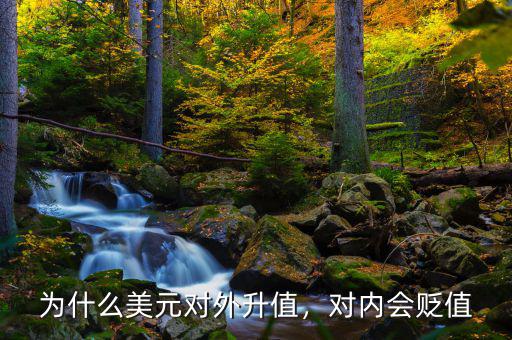 為什么美元對(duì)外升值，對(duì)內(nèi)會(huì)貶值