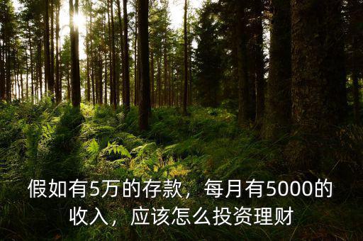 假如有5萬的存款，每月有5000的收入，應(yīng)該怎么投資理財(cái)