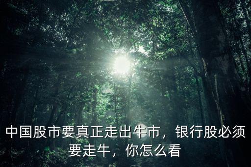 中國股市要真正走出牛市，銀行股必須要走牛，你怎么看