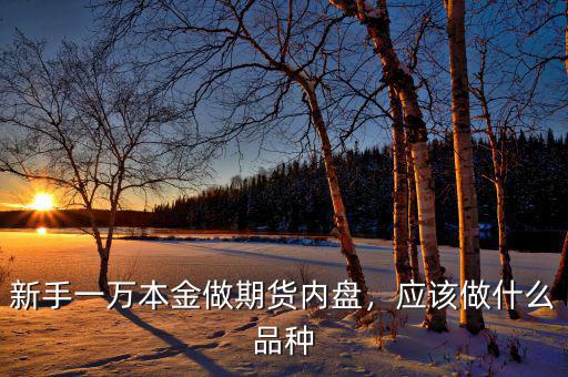 新手一萬本金做期貨內(nèi)盤，應(yīng)該做什么品種