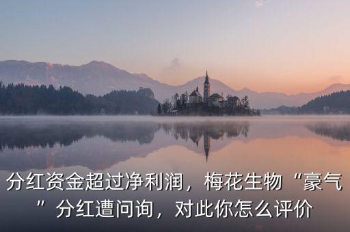 分紅資金超過凈利潤，梅花生物“豪氣”分紅遭問詢，對(duì)此你怎么評(píng)價(jià)