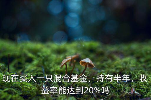 現(xiàn)在買入一只混合基金，持有半年，收益率能達到20%嗎