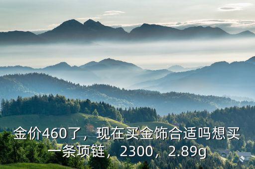 金價(jià)460了，現(xiàn)在買(mǎi)金飾合適嗎想買(mǎi)一條項(xiàng)鏈，2300，2.89g