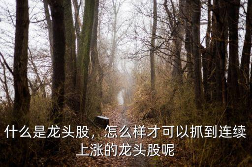什么是龍頭股，怎么樣才可以抓到連續(xù)上漲的龍頭股呢