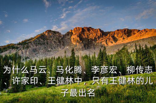 為什么馬云、馬化騰、李彥宏、柳傳志、許家印、王健林中，只有王健林的兒子最出名