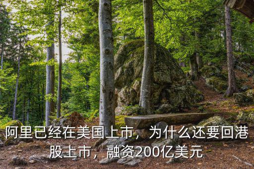 阿里已經(jīng)在美國(guó)上市，為什么還要回港股上市，融資200億美元