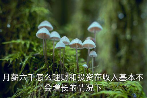月薪六千怎么理財(cái)和投資在收入基本不會增長的情況下