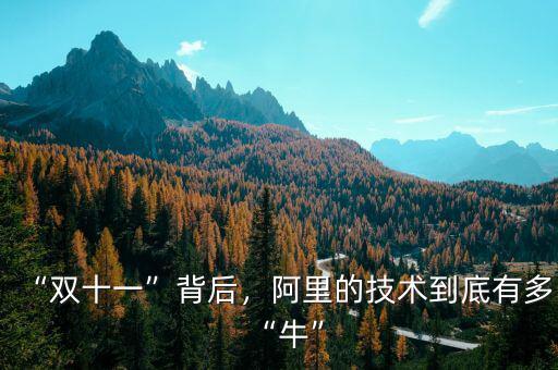 “雙十一”背后，阿里的技術(shù)到底有多“?！? class=