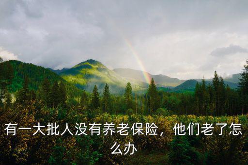 有一大批人沒(méi)有養(yǎng)老保險(xiǎn)，他們老了怎么辦