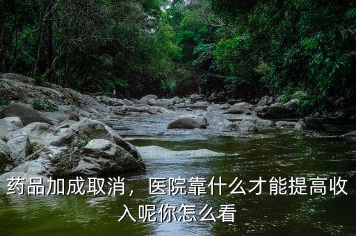 藥品加成取消，醫(yī)院靠什么才能提高收入呢你怎么看