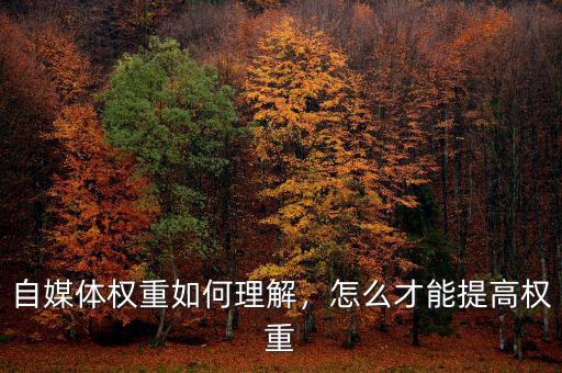 自媒體權(quán)重如何理解，怎么才能提高權(quán)重
