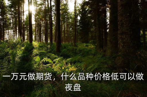 一萬元做期貨，什么品種價(jià)格低可以做夜盤