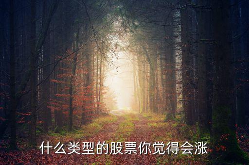 什么類型的股票你覺得會(huì)漲