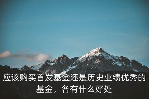 應該購買首發(fā)基金還是歷史業(yè)績優(yōu)秀的基金，各有什么好處