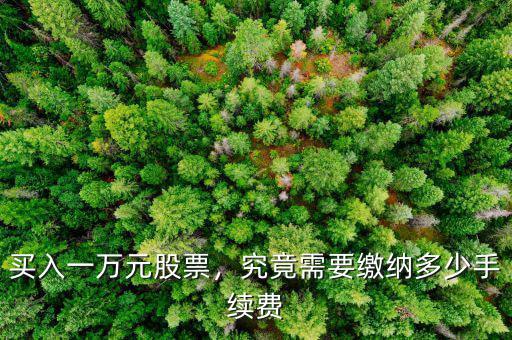 買(mǎi)入一萬(wàn)元股票，究竟需要繳納多少手續(xù)費(fèi)
