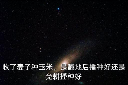 收了麥子種玉米，是翻地后播種好還是免耕播種好