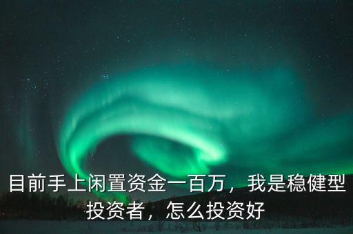 目前手上閑置資金一百萬，我是穩(wěn)健型投資者，怎么投資好