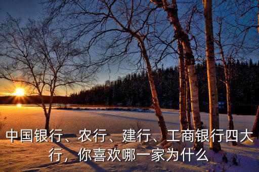 中國銀行、農(nóng)行、建行、工商銀行四大行，你喜歡哪一家為什么