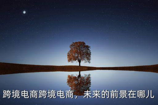 跨境電商跨境電商，未來(lái)的前景在哪兒