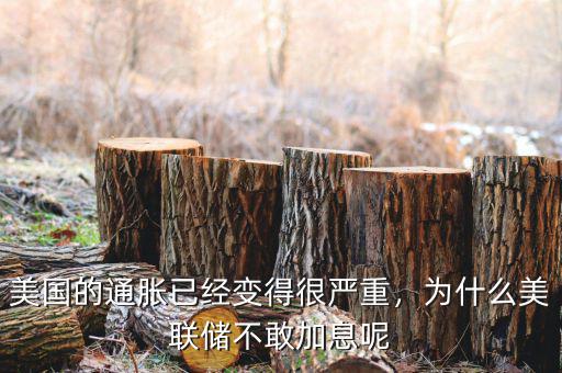 美國的通脹已經(jīng)變得很嚴(yán)重，為什么美聯(lián)儲不敢加息呢