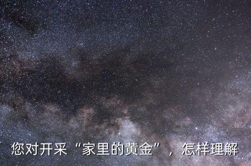 您對(duì)開采“家里的黃金”，怎樣理解