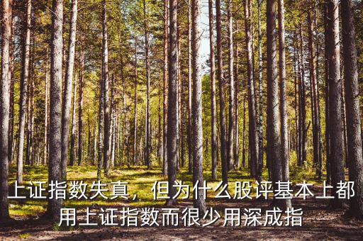 上證指數(shù)失真，但為什么股評(píng)基本上都用上證指數(shù)而很少用深成指
