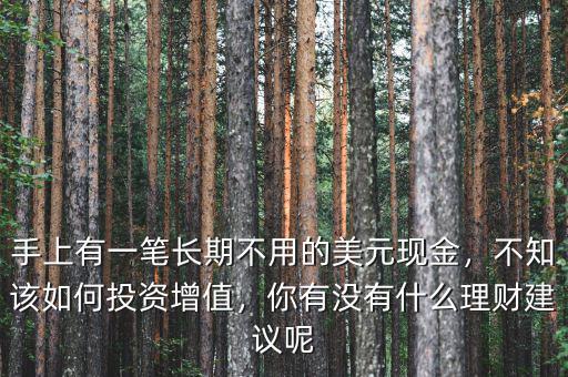 手上有一筆長期不用的美元現(xiàn)金，不知該如何投資增值，你有沒有什么理財建議呢