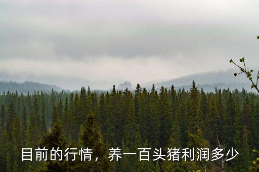 目前的行情，養(yǎng)一百頭豬利潤多少