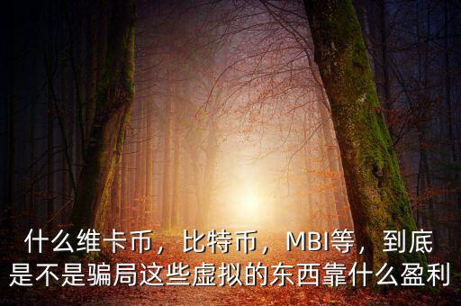 什么維卡幣，比特幣，MBI等，到底是不是騙局這些虛擬的東西靠什么盈利