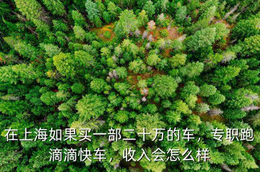 在上海如果買一部二十萬的車，專職跑滴滴快車，收入會怎么樣