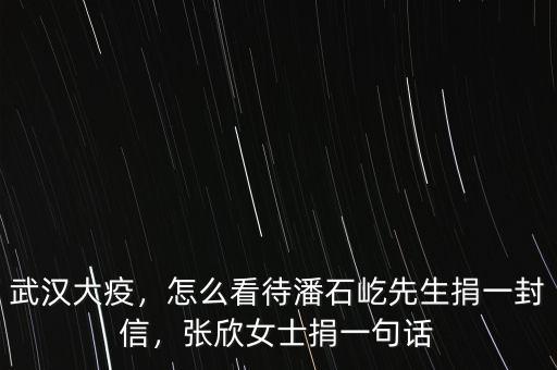 武漢大疫，怎么看待潘石屹先生捐一封信，張欣女士捐一句話