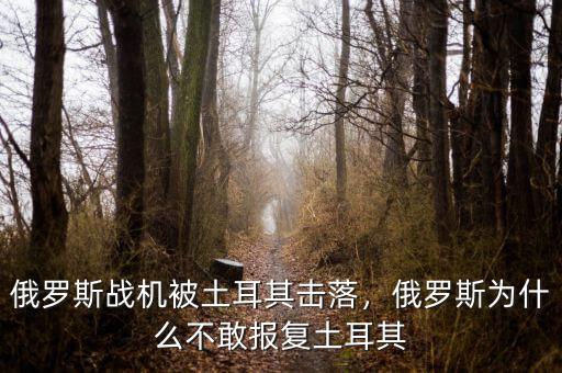 俄羅斯戰(zhàn)機(jī)被土耳其擊落，俄羅斯為什么不敢報(bào)復(fù)土耳其