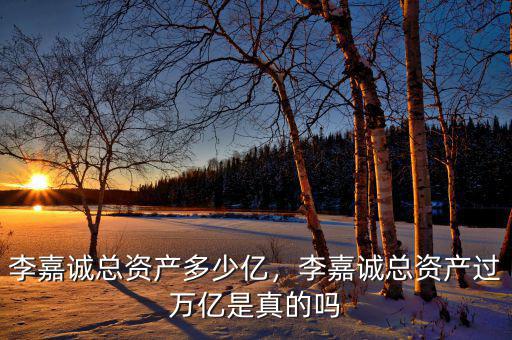 李嘉誠總資產(chǎn)多少億，李嘉誠總資產(chǎn)過萬億是真的嗎