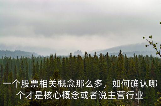 一個股票相關(guān)概念那么多，如何確認(rèn)哪個才是核心概念或者說主營行業(yè)