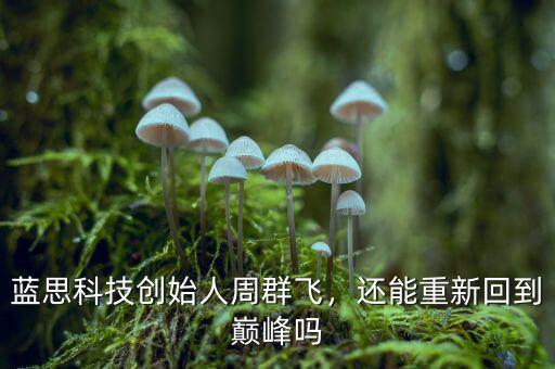 藍思科技創(chuàng)始人周群飛，還能重新回到巔峰嗎