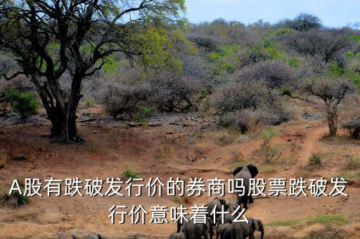 跌破發(fā)行價(jià)的股票會怎么樣,股票跌破發(fā)行價(jià)意味著什么