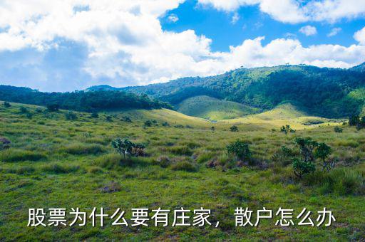 股票為什么要有莊家，散戶怎么辦