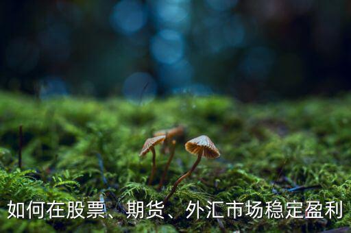 如何在股票、期貨、外匯市場穩(wěn)定盈利