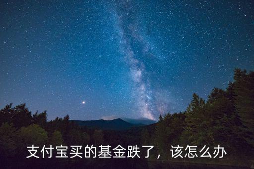 支付寶買的基金跌了，該怎么辦